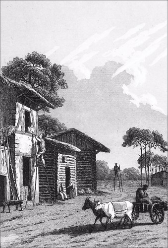 Bergers des landes - sur, leurs