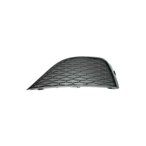 Grille pare choc avant - grille, de