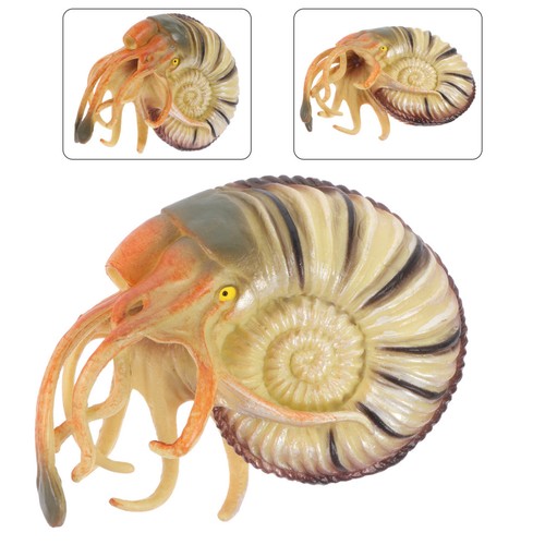 Nautilus maquette modèle - nautilus,