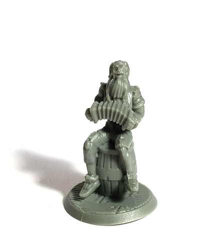 Pirate squeezebox patron - 1,