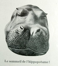 HORS DES CHEMINS CONNUS SUR LES PISTES D'AFRIQUE par Alphonse GAUTIER 1937