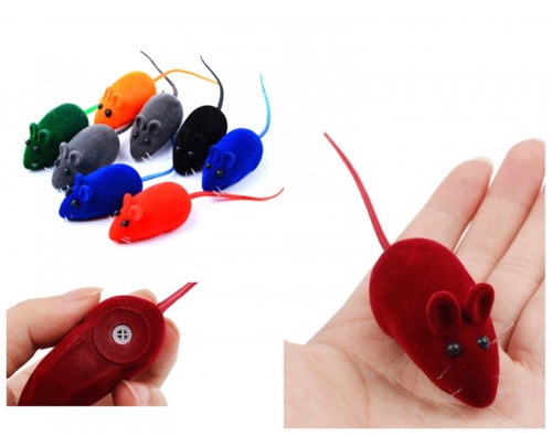 Jeu souris pour chat - jeu,