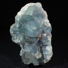 Fluorite - El Hammam - Maroc -  9,5 x 7 cm