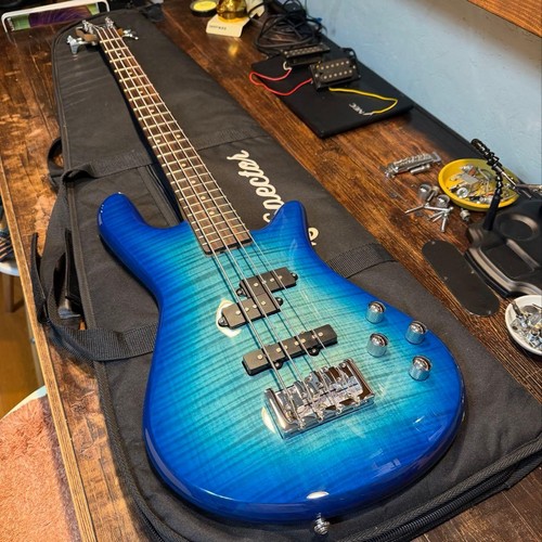 Basse électrique spector - basse,