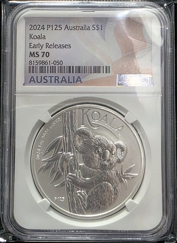 2024 p125 australia koala 1 - 2024,