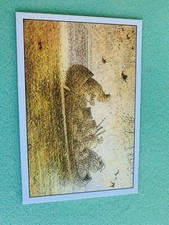 CARTE POSTALE 15X10 LOISEL