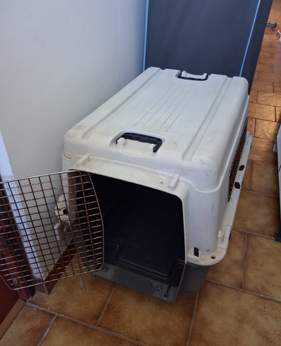 Cage transport pour chien - pour,