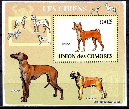 Comore 2009 chiens - animaux, de