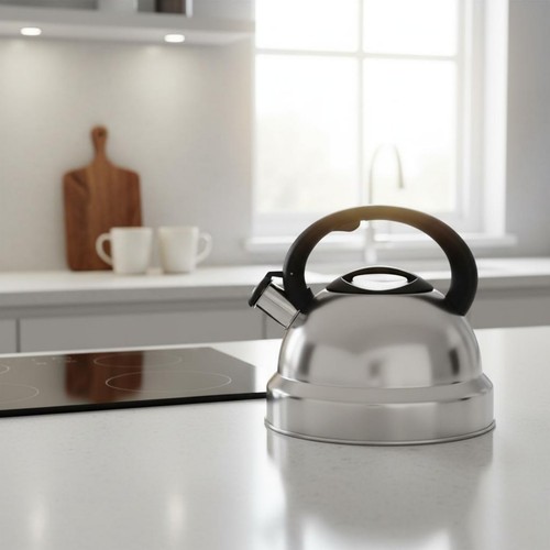 Bouilloire inox 3l - 3,