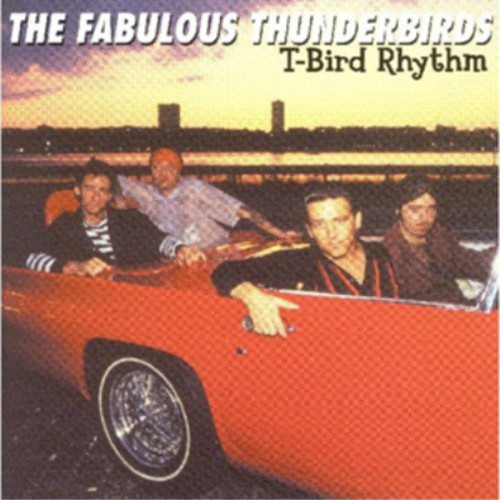 The fabulous thunderbirds - the,