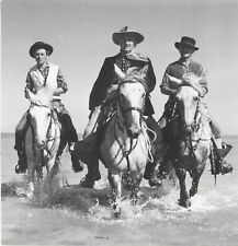 Photo originale Crin blanc