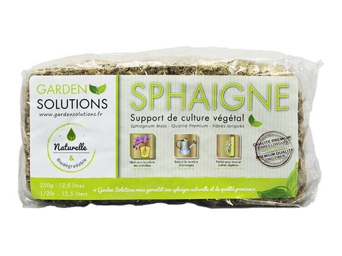 Sphaigne chilienne fibres - chilienne, en