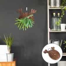 Tenture Murale De Fougère