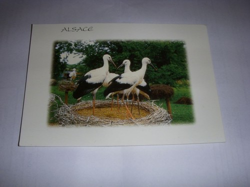 Carte postale alsace les - carte,