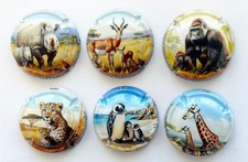 News -Série de 6 Capsules de champagne HAZART ( Les Animaux Sauvages )
