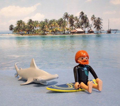 Playmobil halloween surfeur - playmobil,