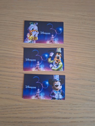 Passeport disneyland paris - passeport,
