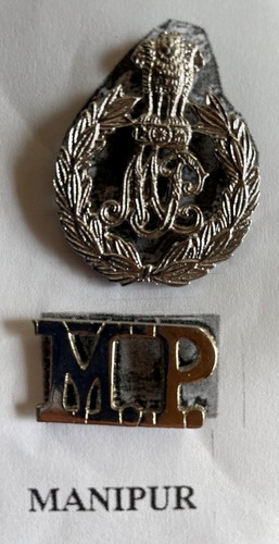 Badge coiffe epaulette etat - badge,