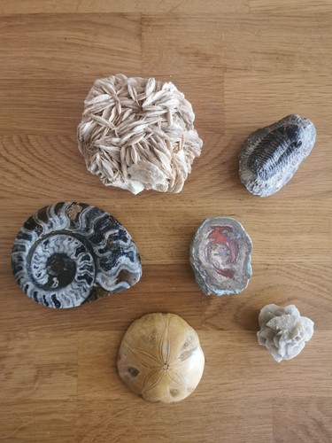 Lot fossiles pierres - lot, et