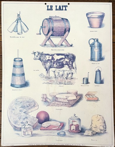 Ancienne affiche scolaire - 🐄,