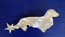 Dachshund with Star, Long