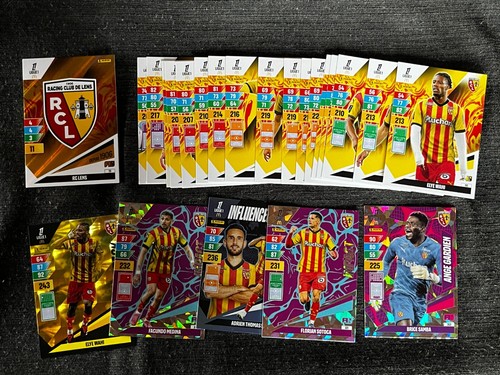 Lot cards carte panini - cards,