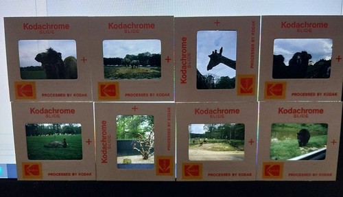 Lot anciennes - 22,