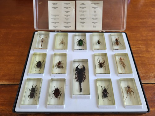 Superbe coffret 14 - coffret,