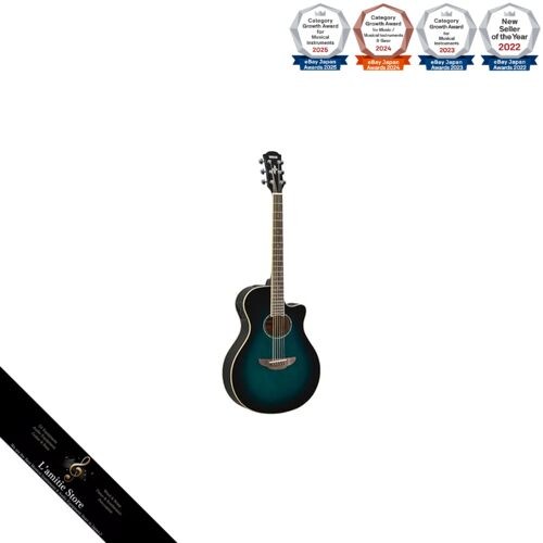 Guitare électrique acoustique