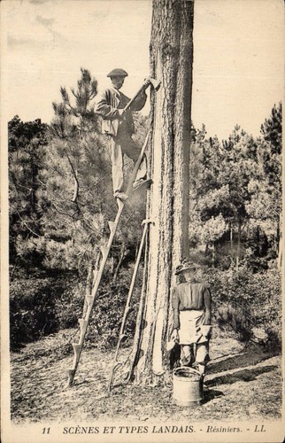 Scènes types landais - scènes, et
