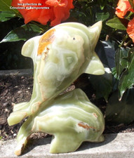 DAUPHIN DE COLLECTION EN