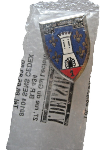 Insigne regiment - insigne,