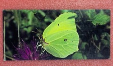 Carte MERVEILLES DU MONDE