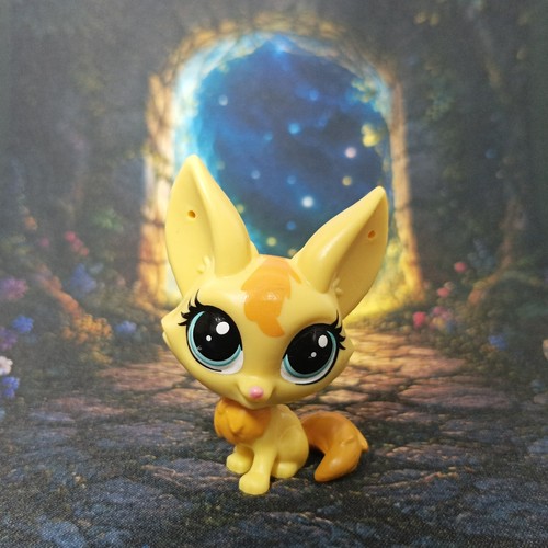 Fennec zeda sandy pets - in, the