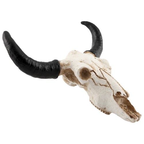 Résine vache tête - résine,