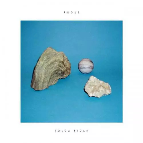 Rogue tolga fidan - tolga,
