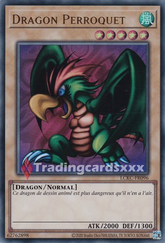 Dragon perroquet - perroquet,