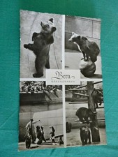 ancienne carte postale CPA suisse -Berne/Barengraben- zoo la fosse aux ours 