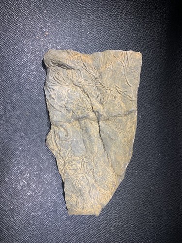 Piste empreintes de - d'empreintes,