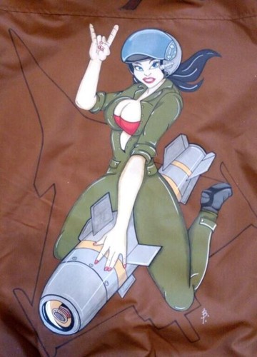 Blouson type aviateur rafale - type,