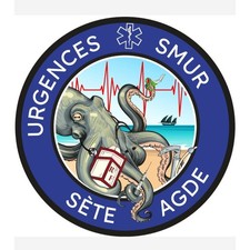 ECUSSONS SMUR ET URGENCES AGDE