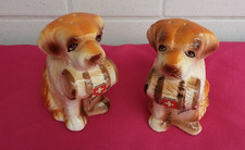 ancien sel poivre chien st