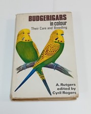 Perruches En Couleur Leur Care