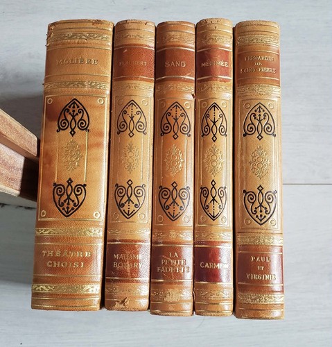 Lot livre ancien cuir - 5,