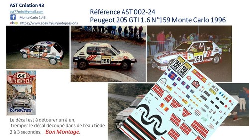 New decal peugeot 205 gti - 43,