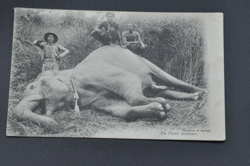 Cpa ancienne carte postale - cpa,