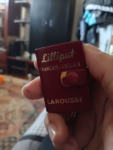 Rare dictionnaire lilliput - rare,