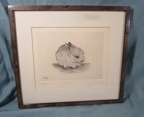 Petit lapin craquant - petit,