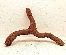 BOIS SABLÉ mangrove racine