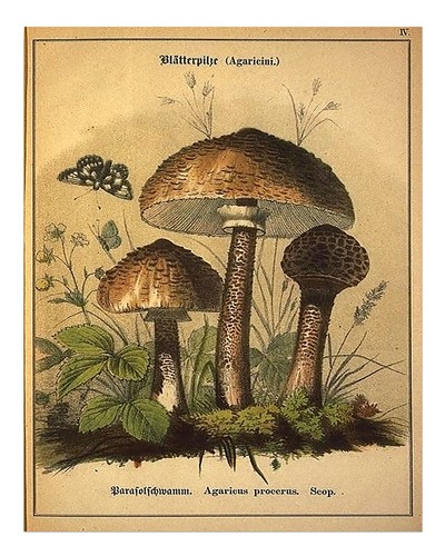 Affiche art mural - affiche, vintage